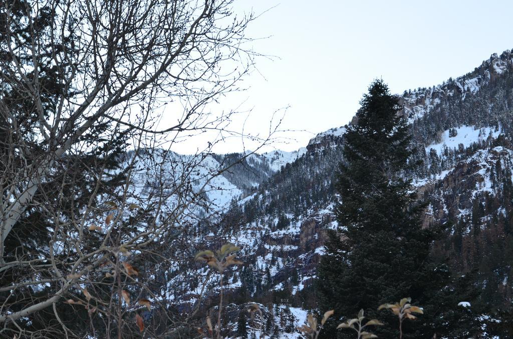 The Ouray Main Street Inn Oda fotoğraf
